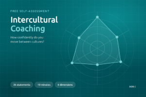 Preview image of the free intercultural coaching self-assessment