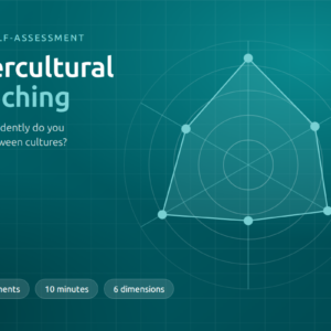 Intercultural Coaching: free self-assessment